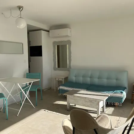 Apartment Les Palmiers A St Clair Le Lavandou