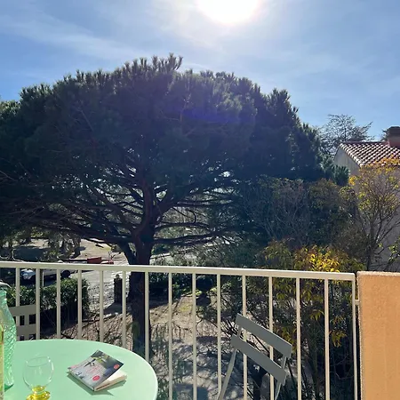 Les Palmiers A St Clair *